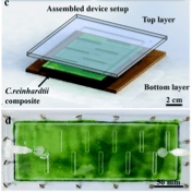biohydrogen - chip photo