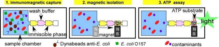 IFAST - Figure 1_design principle