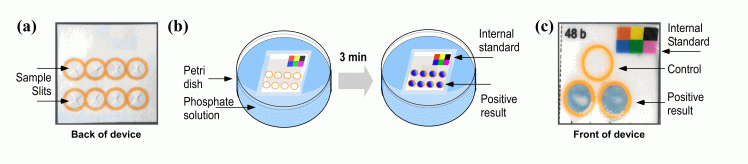 Sullied Sediments - figure 2