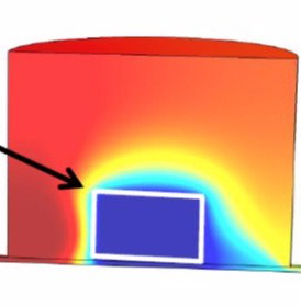 tissue on chip modelling