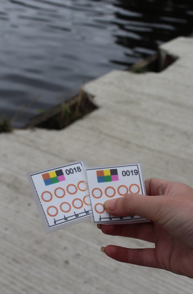 SulSed - IMG_4876 low res